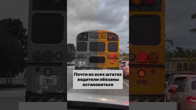 Наказание за проезд мимо школьного автобуса, высаживающего детей смотреть онлайн