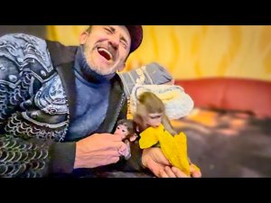 СМЕХ сквозь СЛЕЗЫ! Люська, Влад и Степашка ДЕЛЯТ МАНГО!