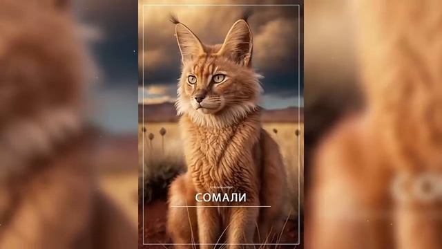 Разные страны мира в виде котиков от нейросети