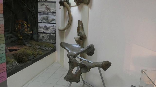 Музей истории Новочебоксарска