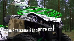 Лучший квадроцикл PROMAX FOREST HUNTER 300