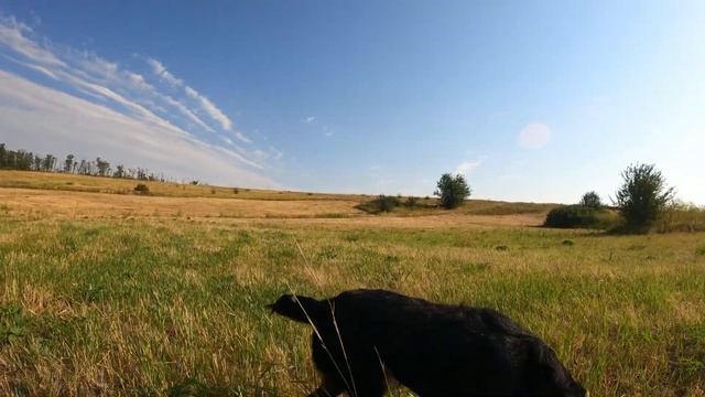 Очередной раз на природе  Касуля  Дороботка маркизы. смотреть онлайн