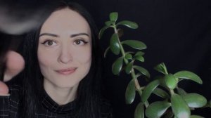 АСМР Ты - Домашнее Растение🌿Позабочусь о Тебе 👄Шепот, Персональное внимание, Звуки Кисточки, ASMR
