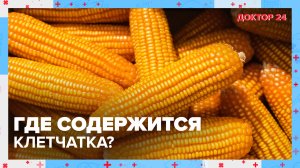 Вся ПРАВДА о КЛЕТЧАТКЕ | Доктор 24