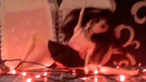 Ты говоришь что я плохо танцую