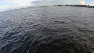 Окунь есть и он ест!  Бонус ? - щука.   Ладожское озеро. Кошкино