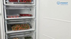 Морозильная камера INDESIT DSZ 5175