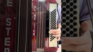 Аккордеон Вельтмейстер Амиго