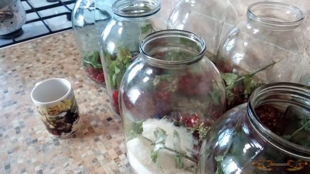 ЧУДО-КОМПОТ ИЗ КРАСНОЙ СМОРОДИНЫ ( НИКАКОЙ СТЕРИЛИЗАЦИИ!!!)