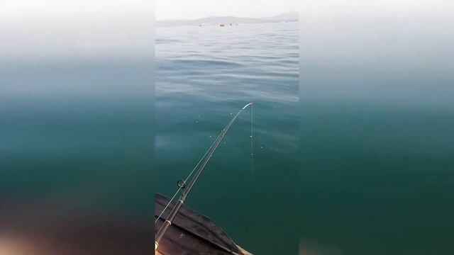 Морская рыбалка! Рыбалка в Находке! Залив Восток! Камбала! Краб!  Отличный клёв! Рыбалка май 2021г.