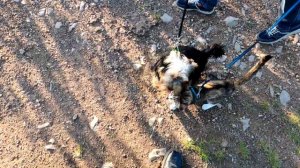 #мотопутешествия. Продолжение .Подьем на камень Ветлан и прогулка по нему.