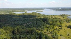 Тверская область, Торопецкий район, деревня Борисы