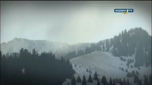 Охота на волка в Дардамтах