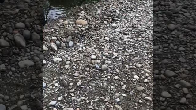 Камчатка