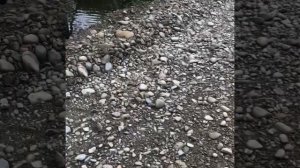 Камчатка