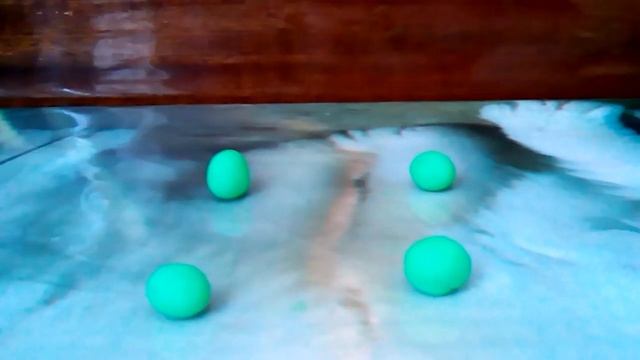 ПОДЕЛКА ИЗ ЛЕГКОГО ПЛАСТИЛИНА ЛЯГУШКА смотреть онлайн