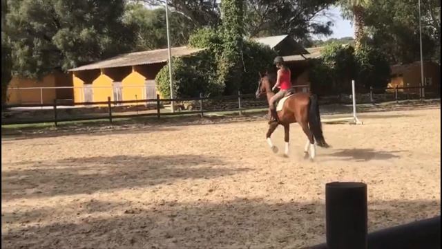 Конный спорт в Испании смотреть онлайн