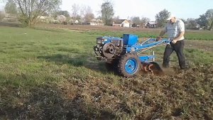 Мотоблок Зубр+Фреза. Фрезеровка трави.