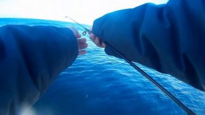 Рыбалка в черном море-Ловля ставриды на самодур