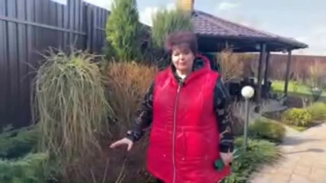 Начинаем весеннюю обработку сада в прямом эфире!!!! смотреть онлайн