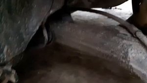 Лифан Солано 2 Скрип задних тормозов. Что и почему. Диски под замену!!!