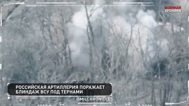 спецоперация Z /сво на Украине