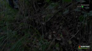 ОСТОРОЖНО ЯДОВИТЫЕ ГРИБЫ???  Грибы на Кавказе в горах Дагестана.