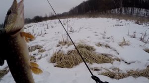 Трофей ранней весны на лайтовый кастинговый комплект