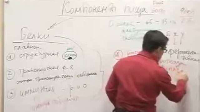 ВАЖНО . Белок в нашей жизни смотреть онлайн