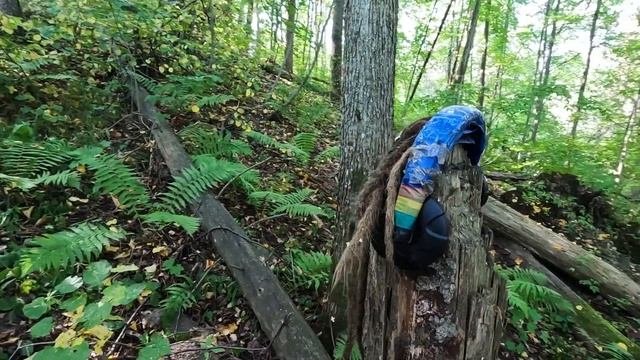 7. Забытый город. Вышгород-на-Яхроме.