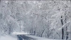 Антонио Вивальди. "Зима" (1 часть)