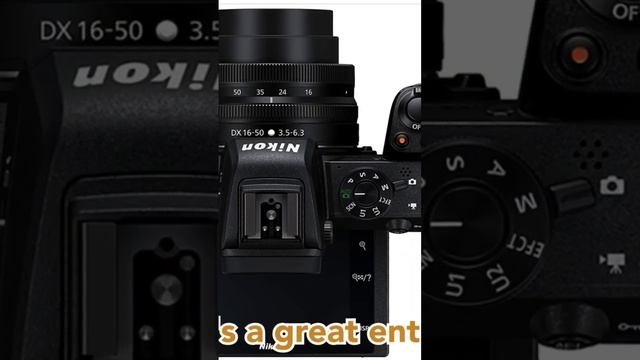 The Nikon Z50: Best Beginner Camera 2023