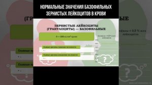 Нормальные значения базофильных зернистых лейкоцитов в крови #лейкоциты #составкрови