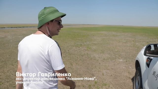 ТОП 5 самых опасных животных и как выжить при встрече с ними смотреть онлайн