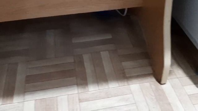 Как избавиться от клопов