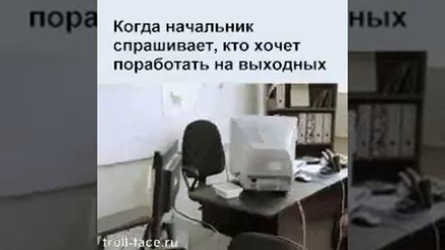 Когда начальник спрашивает!!!