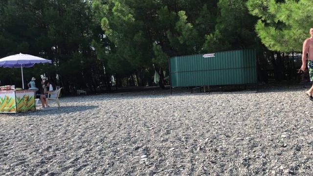 Абхазия. Пляж на территории заповедника в Пицунде