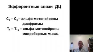 Нормальная физиология 10. Дыхание. Транспорт газов кровью. Газообмен. Регуляция дыхания