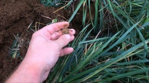 Поиск МД с ALEX O. Находки с полей и камрады-новые друзья!)