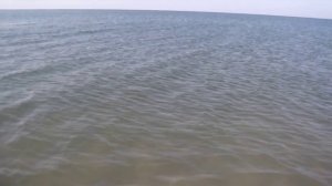 Отдых на Азовском море. Центральный пляж Голубицкой май 2014