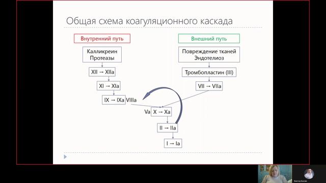 Фарма ВСЕ 9.1. Обзор физиологии и патологии гемостаза.mp4