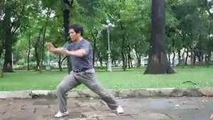 Хун гар - www.taishe.ru - Кулак железной проволоки Ле Лон