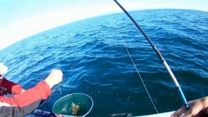 Ловля камбалы во Владивостоке. Рыбалка на море приморский край 2019