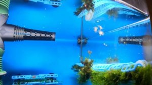 Улитка Неретина Рогатая билайн или Зебра треснул панцырь!