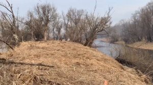 Экспедиция на малую речку и старицу Тобола / Просто отдых