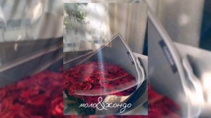 трек - 9 планет - DAVID