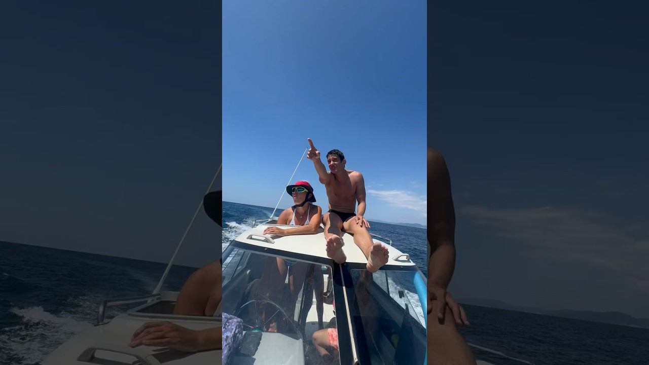 Посмотри, посмотри, дельфины!! #фридайвинг #freediving #dolphin смотреть онлайн