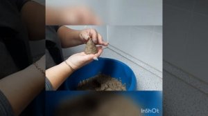 Мастер класс "Ёлочная игрушка из папье-маше"