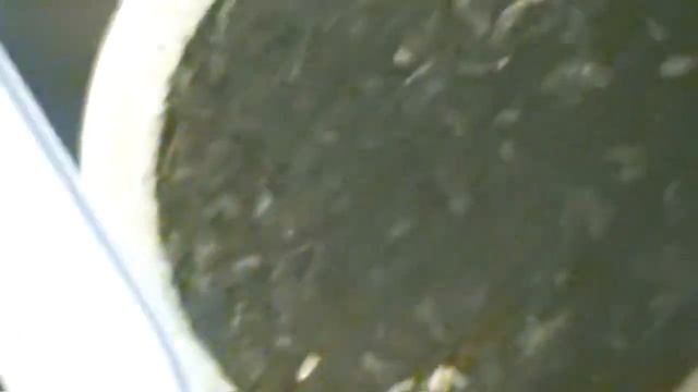 Спаривание червя дендробены смотреть онлайн