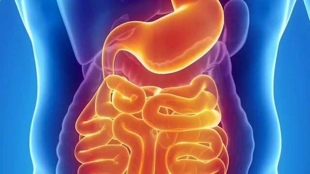 Многие пьют ВОДУ натощак, Но не догадываются что ТЕПЛАЯ ВОДА натощак вызывает НЕОБРАТИМЫЕ ПРОЦЕССЫ смотреть онлайн